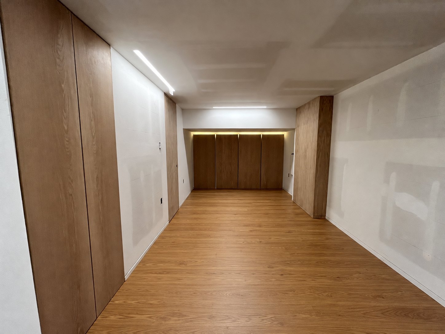 Oak basement paneling and flush doors with an illuminated end wall